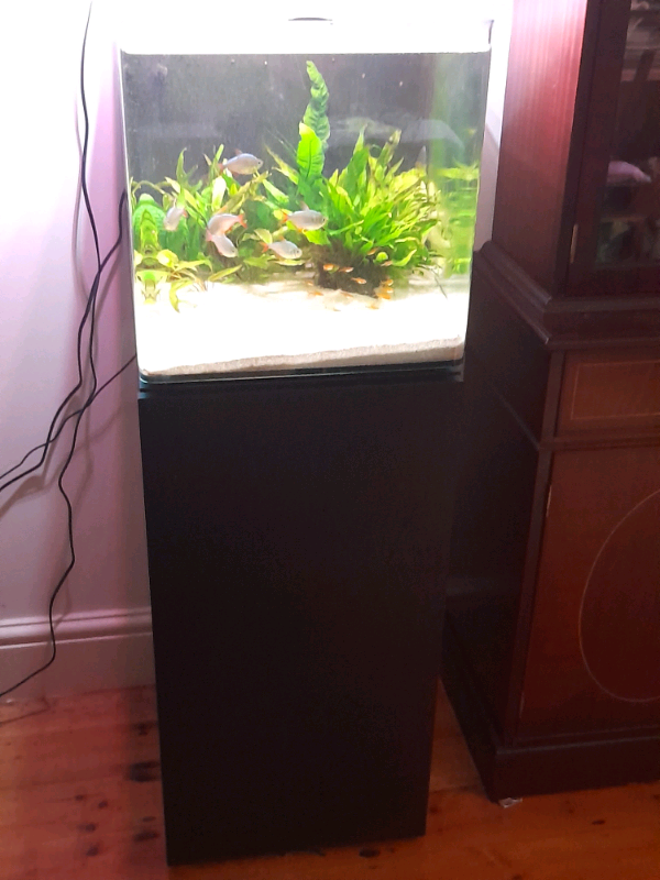 nano tank stand